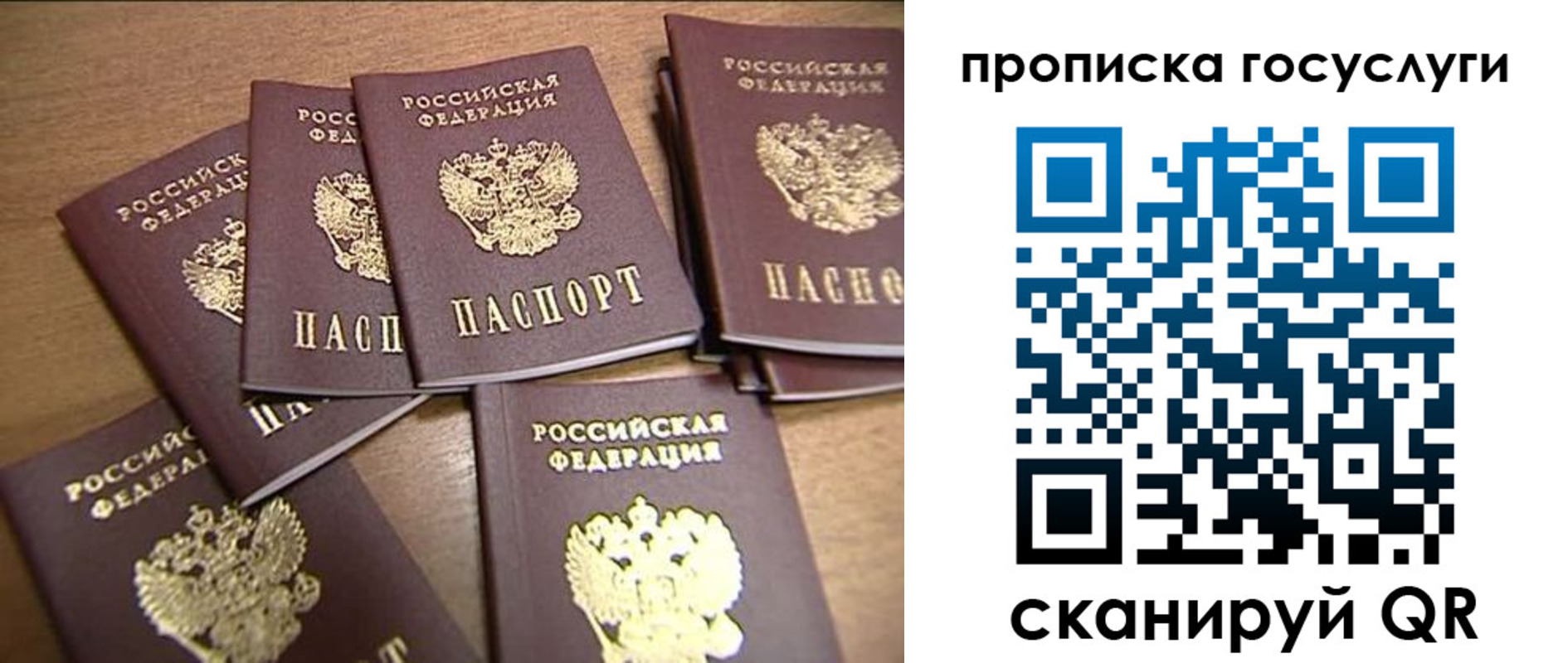 прописка для работы в Сураже